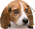 nhn5jh6w7200.png