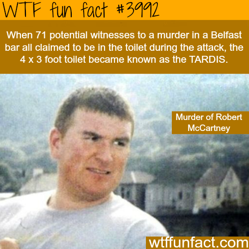 tumblr_nof8heWr9a1roqv59o1_500.png