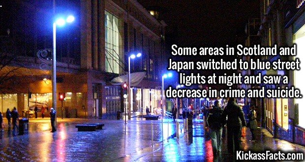 2101-Blue-Street-Lights.jpg