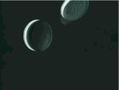 e7dkehz2njr9.gif