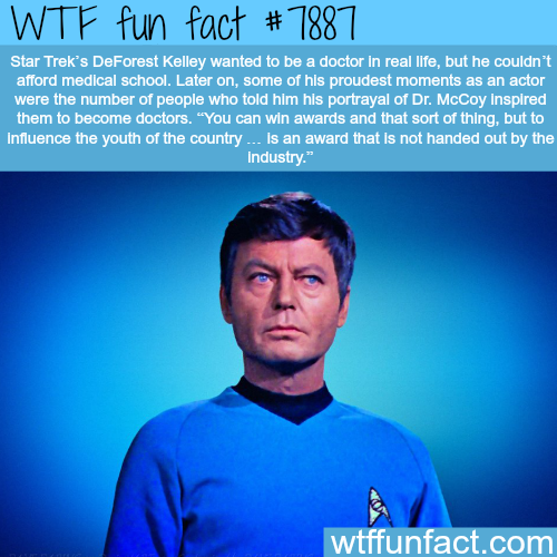 tumblr_ovildiaop01roqv59o1_500.png