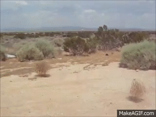 5CGkOb.gif