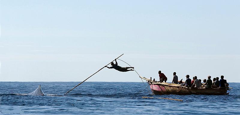 Whale%2BHunting.jpg