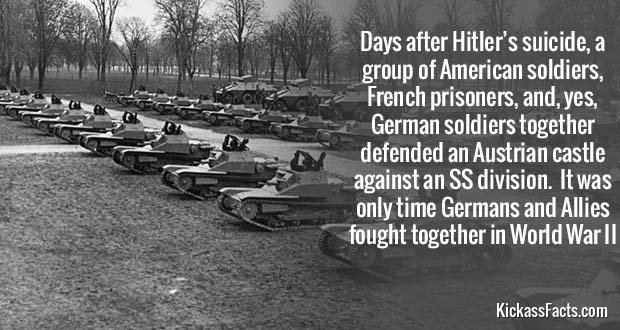 443AlliesGermanStrangeWar.jpg