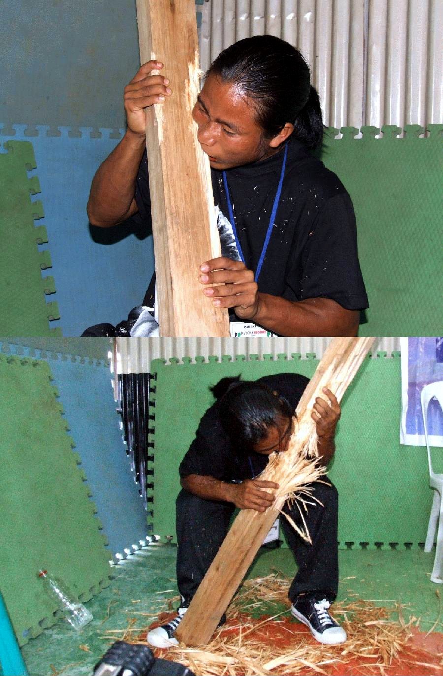 i-like-to-eat-wood.jpg
