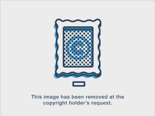tumblr_mmhyx2eB751qg5hdno1_500.jpg