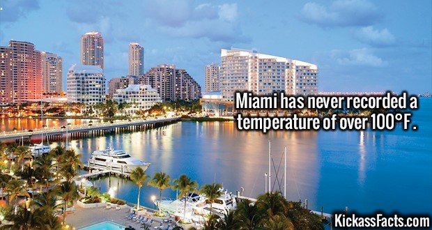 2621-Miami.jpg