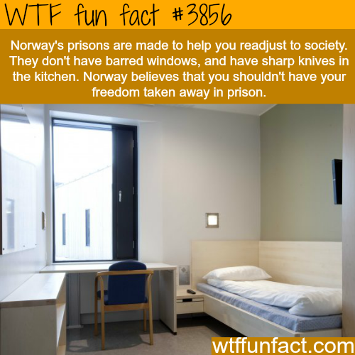 tumblr_nmx601BBsS1roqv59o1_500.png