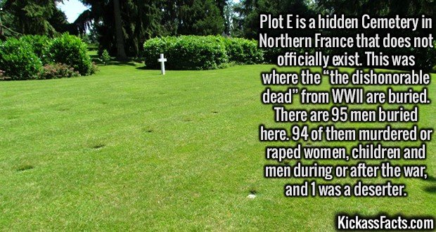 2113-Plot-E-Cemetery.jpg