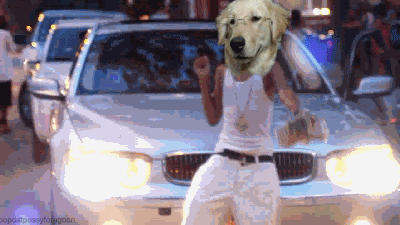 84wuma7gdsg5.gif