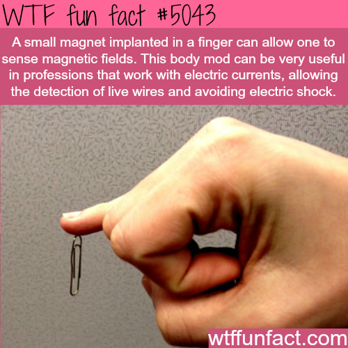 tumblr_o03mf2dYQZ1roqv59o1_500.png