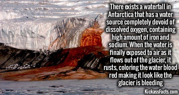 1168-Antarcticas-blood-red-waterfall.jpg