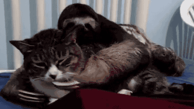 tumblr_mlel3xAaKY1qbyxr0o1_400.gif