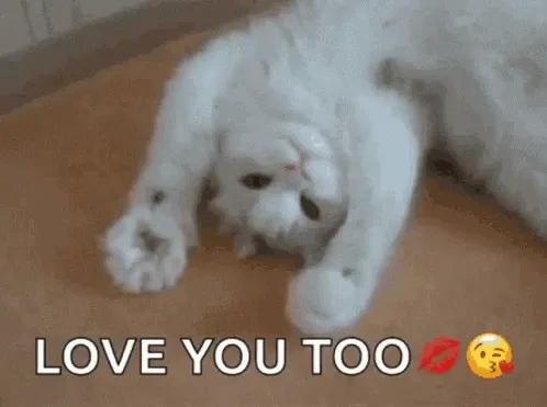 jWkOQ.gif