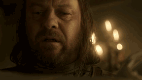 y1nccx5sqj3r.gif