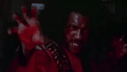 tumblr_og4ko7mnt61vet0bvo8_250.gif