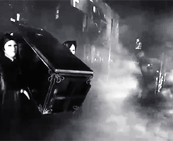 tumblr_mywgh05T8C1r00n56o5_250.gif