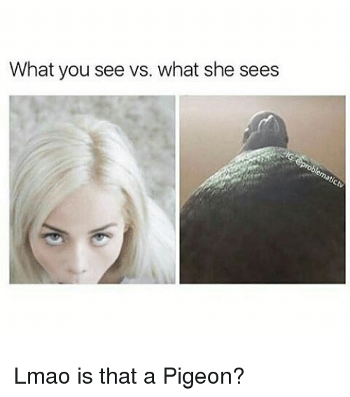 bhdrsqf48wzp.png