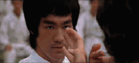 iqyi2cvydj6k.gif