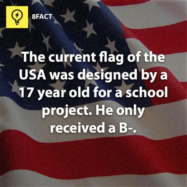 real_fau.jpg