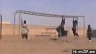 training.gif