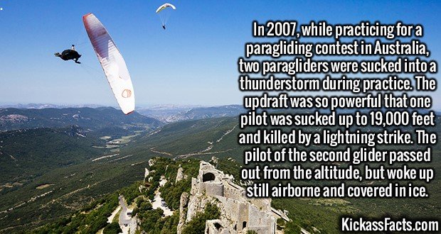 2380-Paragliders.jpg