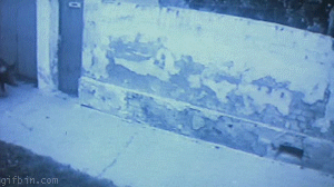 c7pjgun14dub.gif