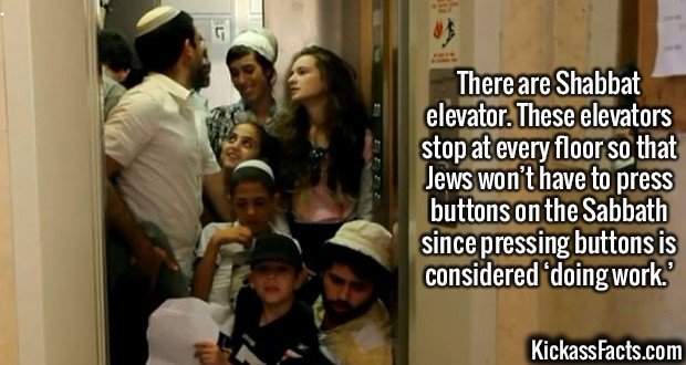 2575-Shabbat-Elevator.jpg