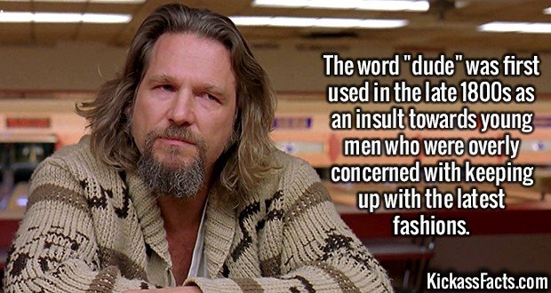 2562-Dude.jpg
