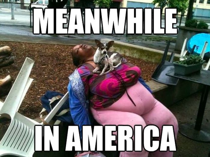 the-best-of-meanwhile-in-america-29.jpg