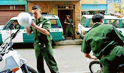 tumblr_od4l827kAg1qfsrsoo3_250.gif