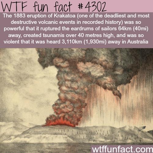 tumblr_nrquddwMMN1roqv59o1_500.png