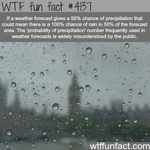 tumblr_nq2icxey6J1roqv59o1_500.png