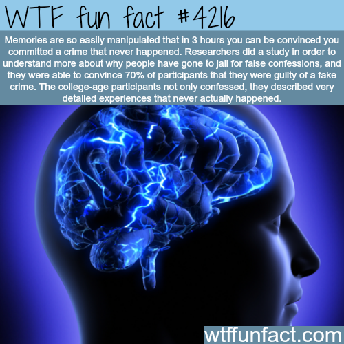 tumblr_nqvxb5QLhT1roqv59o1_500.png