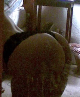 jpuhgsrpmtcv.jpg