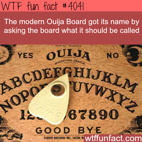 tumblr_np0mrrQLrH1roqv59o1_500.png