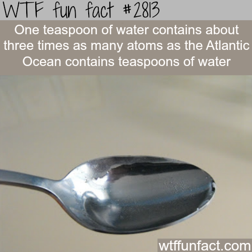 tumblr_n9lv0rCRxR1roqv59o1_500.png