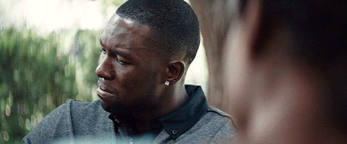 tumblr_om5xboKGBz1w0uqxpo2_500.gif