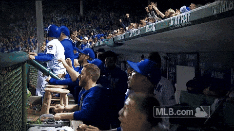 giphy.gif