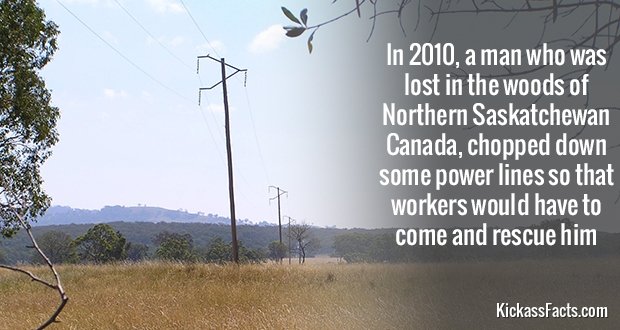 381Power-Line.jpg