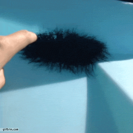 p6hqhru4h16v.gif