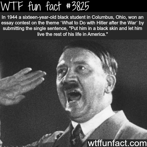 tumblr_nmiqkuF7k41roqv59o1_500.png