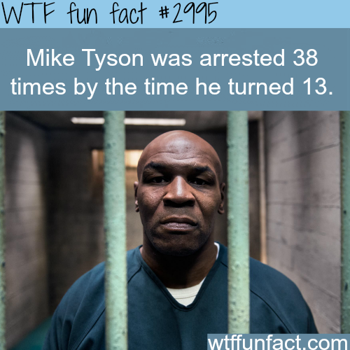 tumblr_nc4fmskUB41roqv59o1_500.png