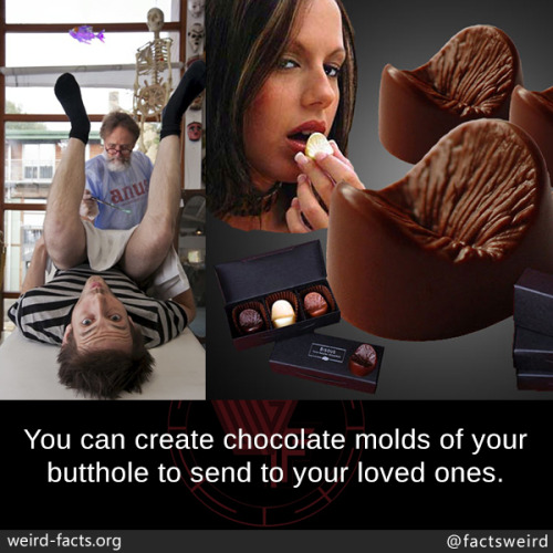 tumblr_oukrcuSe3g1szqwnwo1_500.jpg