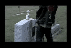 p2qxspua5116.gif