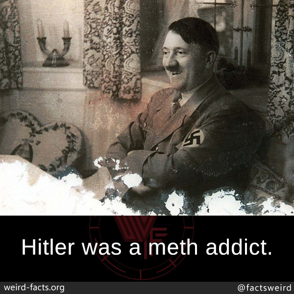tumblr_oyqufue0xB1szqwnwo1_1280.jpg