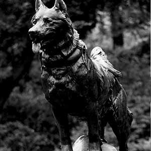 Balto_thumb.jpg