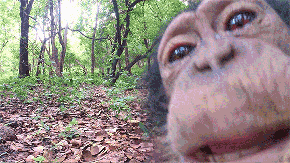 zjpe8h00fezn.gif