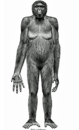 Ardipithecus_ramidus.jpg