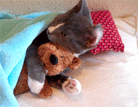8534_233c.gif